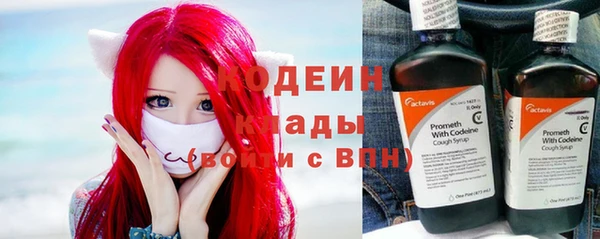 шишки Краснослободск