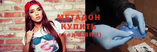 прущие грибы Кирсанов