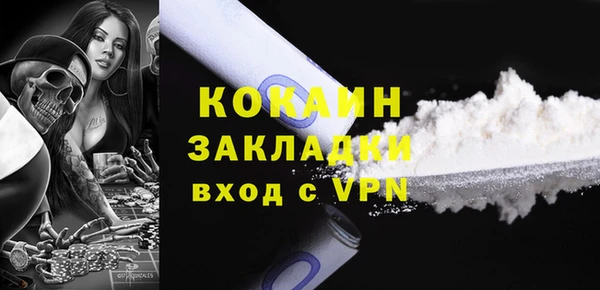 шишки Краснослободск