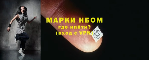шишки Краснослободск