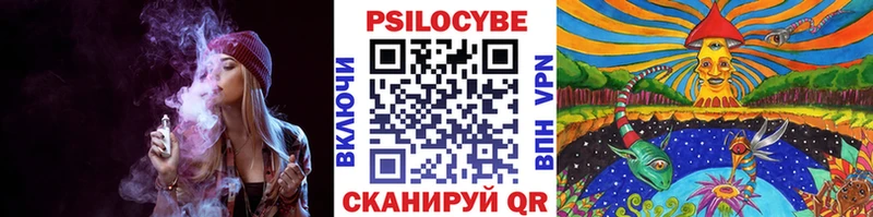 Галлюциногенные грибы Psilocybe Малгобек
