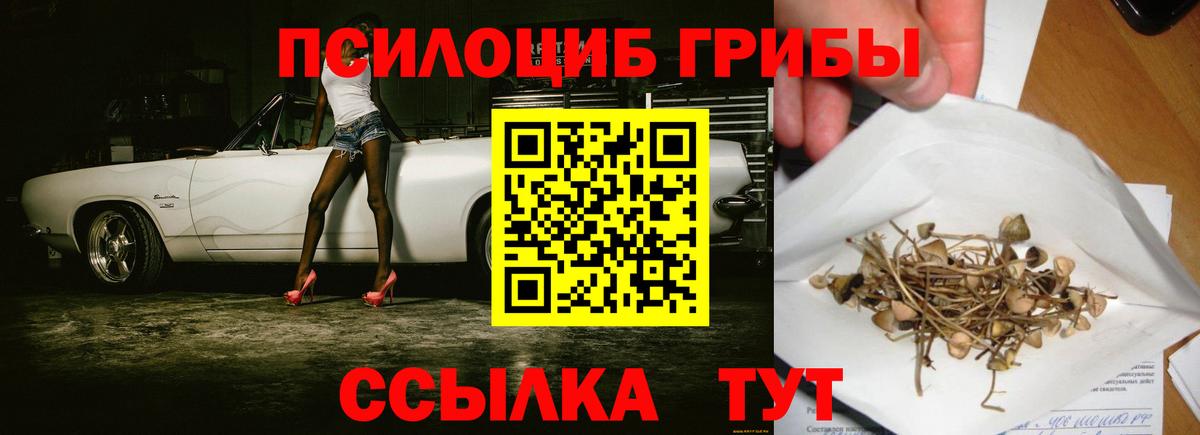 Галлюциногенные грибы мицелий Малгобек