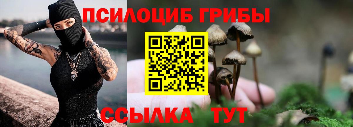 Галлюциногенные грибы Psilocybine cubensis  Вход с VPN  Малгобек  Галлюциногенные грибы мухоморы 